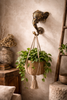 Brass elephant wall hook used as plant hanger decorative safari wall decor