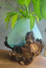 glass planter on driftwood base molten glass bowl boho home decor