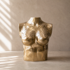 Solid brass female torso sculpture in polished gold finish, body positive decor, female form art, luxury home decor, maximalist decor, sculptural statement piece