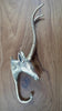 Impala animal wall hook mounted on wood wall decorative brass hook