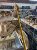 Front measurement of brass sea turtle sculpture showing real size and scale