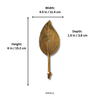 Small brass leaf hook dimensions: 4.5 in / 11.4 cm width, 6 in / 15.2 cm height, 1.5 in / 3.8 cm depth