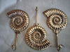 Brass shell wall hooks including ammonite fossil design coastal decor set