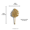 Brass Monstera leaf hook dimensions: 2 inches (5.08 cm) wide, 7 inches (17.78 cm) tall, 1.5 inches (3.81 cm) deep from the wall