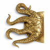 Angled close-up of octopus tentacle brass door pull (single) showing suction cup detail
