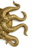 One Single octopus tentacle brass door pull on white background, sculptural statement hardware
