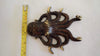 Measuring brass octopus wall hook showing real product size and scale