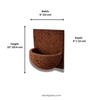 Dimensions diagram of tree fern orchid wall planter showing size and mounting depth