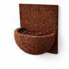 Natural tree fern orchid wall planter with planting pocket for epiphytes