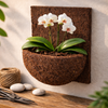 Orchid wall planter made from natural tree fern fiber with orchid plant, vertical wall planter for orchids and epiphytes