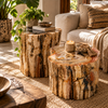 Wide view of two natural petrified wood side tables in a boho living room with a cream sofa, patterned cushions, potted plants and a jute rug. Fossilized tree stump tables adding organic texture to a natural interior, from Java, Indonesia.