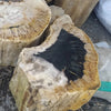 Unedited photo of the petrified wood stool with a deep black mineral center, showing the actual fossilized wood texture and natural sides. Genuine petrified wood stump from Java, Indonesia.