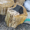 Side view of the petrified wood stool with black mineral center, showing its natural unpolished bark-textured sides in cream, tan and grey. Fossilized wood stump side table from Java, Indonesia.