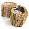 Two natural petrified wood stools on a white background: one with a deep black mineral center and one with warm brown striations, both with natural unpolished sides showing original tree bark texture. Fossilized wood stumps from Java, Indonesia.