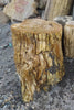 Side view of the brown petrified wood stump, showing the natural cracks, ridges and bark-like texture of the fossilized tree trunk. One-of-a-kind petrified wood side table from Java, Indonesia.