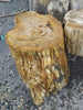 Unedited photo of the brown petrified wood stump with natural striations and bark texture, showing the true color of the fossilized wood. Genuine petrified wood stool from Java, Indonesia.
