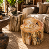 Two petrified wood stumps used as low side tables in a warm living room beside a cream sofa, styled with a candle, books and green plants on a woven rug. Natural fossilized wood furniture and wabi sabi decor from Java, Indonesia.