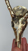 Brass Gold Impala Skull Wall Hook video