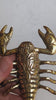 brass-scorpion-wall-hook-gothic-decor video