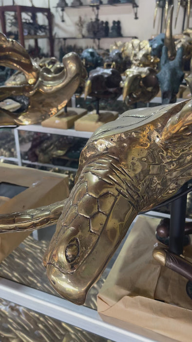 Video close up of brass sea turtle sculpture for scale, finish and craftsmanship view