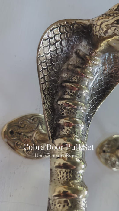 Video preview of solid brass cobra door handle set, close-up texture on snake entry door pull