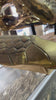 Video of large brass sea turtle sculpture showing finish, texture and sculptural detail