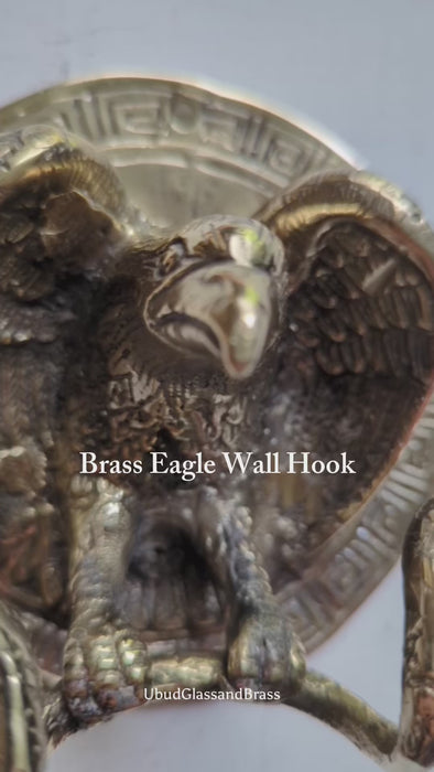 Close-up of solid brass eagle with snake wall hook showing detailed antique finish, gothic decor wall hook, dark academia aesthetic, double wall hook for towels or coats, unique animal wall hook and housewarming gift idea