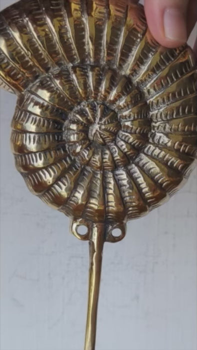 Brass ammonite fossil wall hook close up showing spiral shell detail and finish