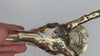 Gold Brass Antilope Skeleton Skull wall hook