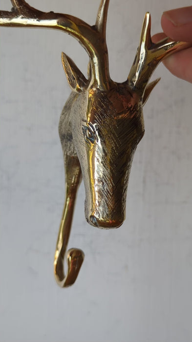 Video of the brass deer head wall hook held in a hand and turned to show the stag's face, branching antlers and curved hook in polished brass. Handmade animal wall hook from Ubud, Bali.