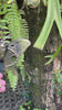Handcrafted brass butterfly wall hook shown outdoors beside lush green fern highlighting intricate wing detail, antenna and warm brass finish. Whimsical decorative coat hook from set of 4 for nursery room decor, kids room wall decor and baby shower gift. Unique gender reveal gift, new home gift and housewarming gift for butterfly nursery, girls room and whimsical kids room decoration