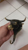 Brass bull head wall hook in hand showing size and hook depth, part of set of 4 wall hooks bundle