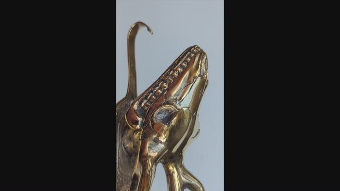 Gold brass deer skull brass wall hook video