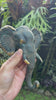 Hand holding handcrafted patina brass elephant wall hook outdoors in tropical garden setting showing rich verdigris patina finish and golden tusk and ear detail highlighting Bali artisan craftsmanship. Decorative coat hook and towel hook from set of 4 for boho home decor, wabi sabi decor, yoga room decor and meditation space decor. Unique boho housewarming gift and eclectic gallery wall hook set