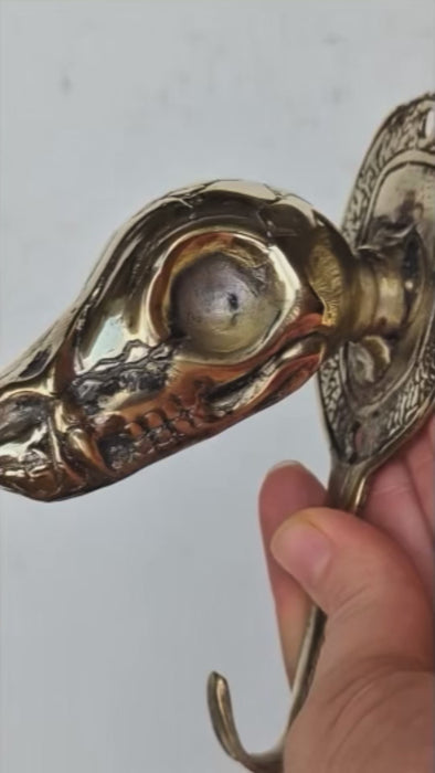 Solid brass dinosaur skull wall hook held in hand showing scale and antique brass finish — gothic dinosaur hook man cave decor handmade in Bali