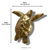 Sea turtle sculpture size guide medium 60 cm 23.6 inch brass coastal decor statue
