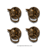 Set of 4 antique brass cat head drawer pulls bundle, decorative cabinet pulls with ring detail.