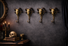 Four brass ram skull wall hooks styled on a dark academia wall for gothic home decor and dramatic entryway storage