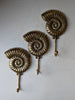 Set of three brass ammonite fossil wall hooks coastal nautical decor