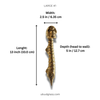 Large 13 inch skull spine door handle measurements for double doors, size guide in inches and cm