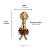 Dimensions of brass squid wall hook showing size height width depth for towel hook use