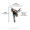 Texas longhorn brass wall hook dimensions 6 in length, 5.25 in width, 3.5 in depth from wall
