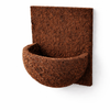 Natural tree fern orchid wall planter empty coconut fiber planter for orchids and staghorn ferns