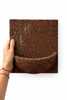 Tree fern orchid wall planter held in hand showing planter size and mounting plate