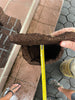 Measurement of tree fern wall planter back plate for mounting