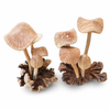 Hand carved wood mushroom figurines with natural burl base, unique handmade mushroom decor sculpture