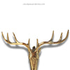 Gold brass reindeer horns wall decoration on a white background