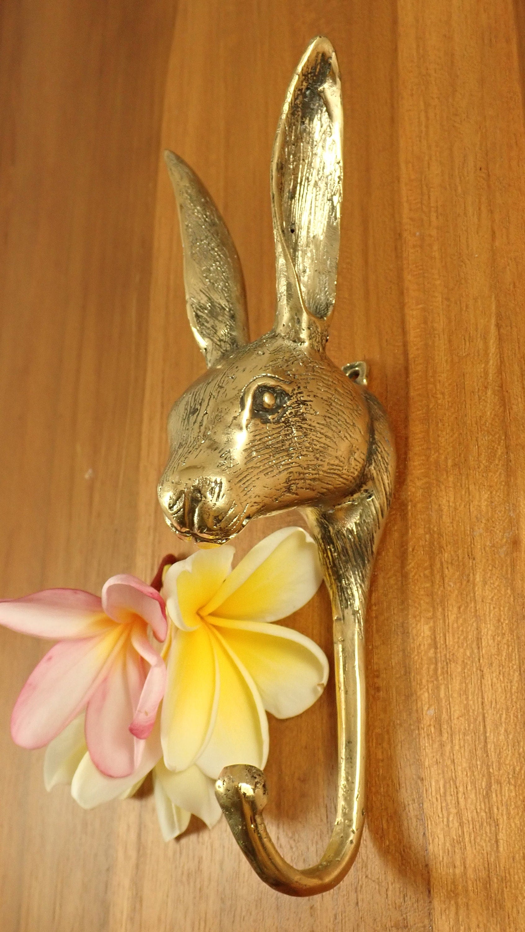 Hooked Rabbit Brass Rabbit Hook for Kids room – Peter Rabbit Wall Decor/Towel and Je ...
