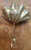 Set of two antique brass seashell wall hooks for coastal decor