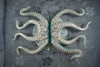 blue black finish on brass octopus tentacles double door pull with dark background